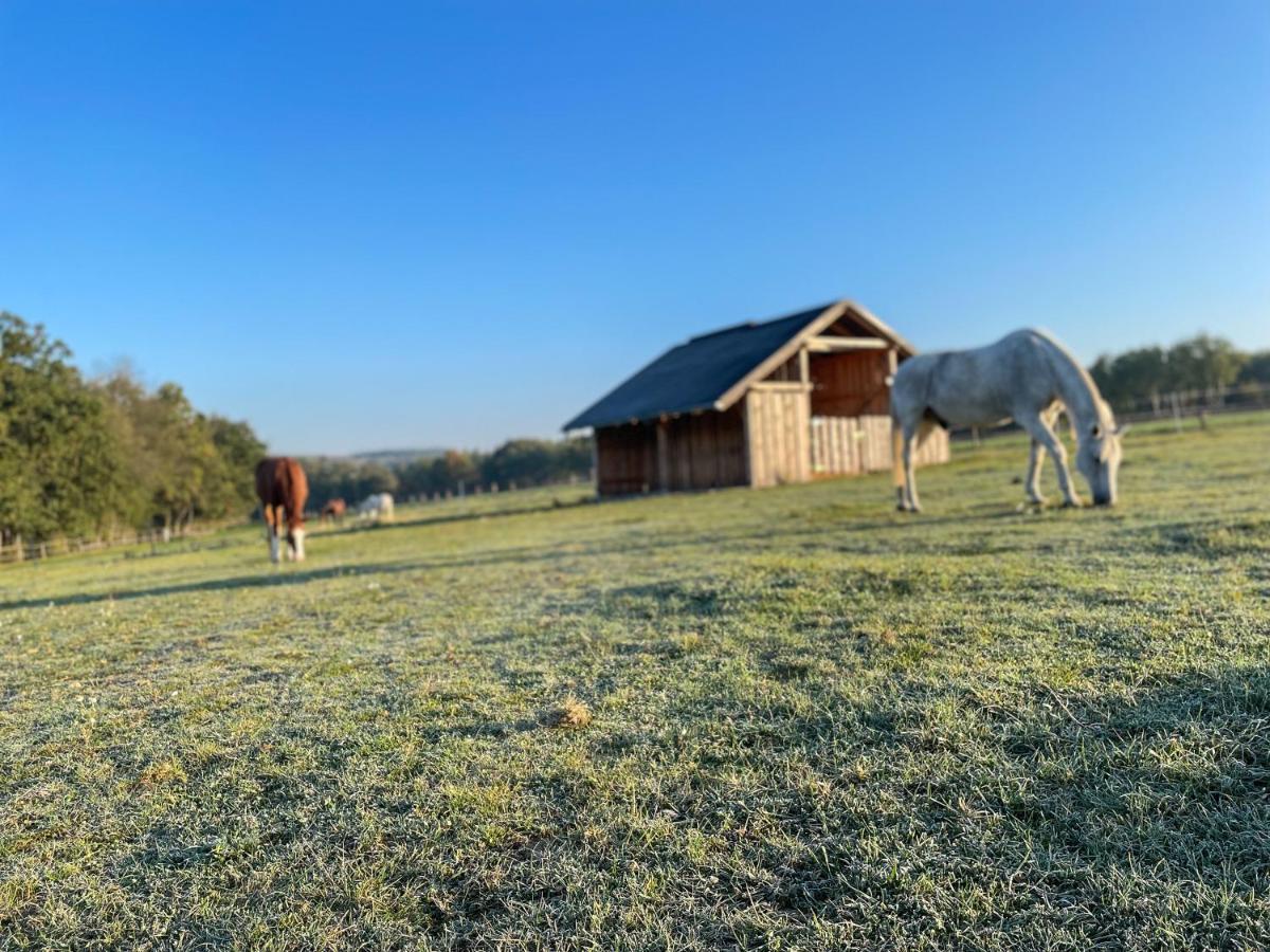 Dum Splnenych Prani Villa Praslavice Exterior foto